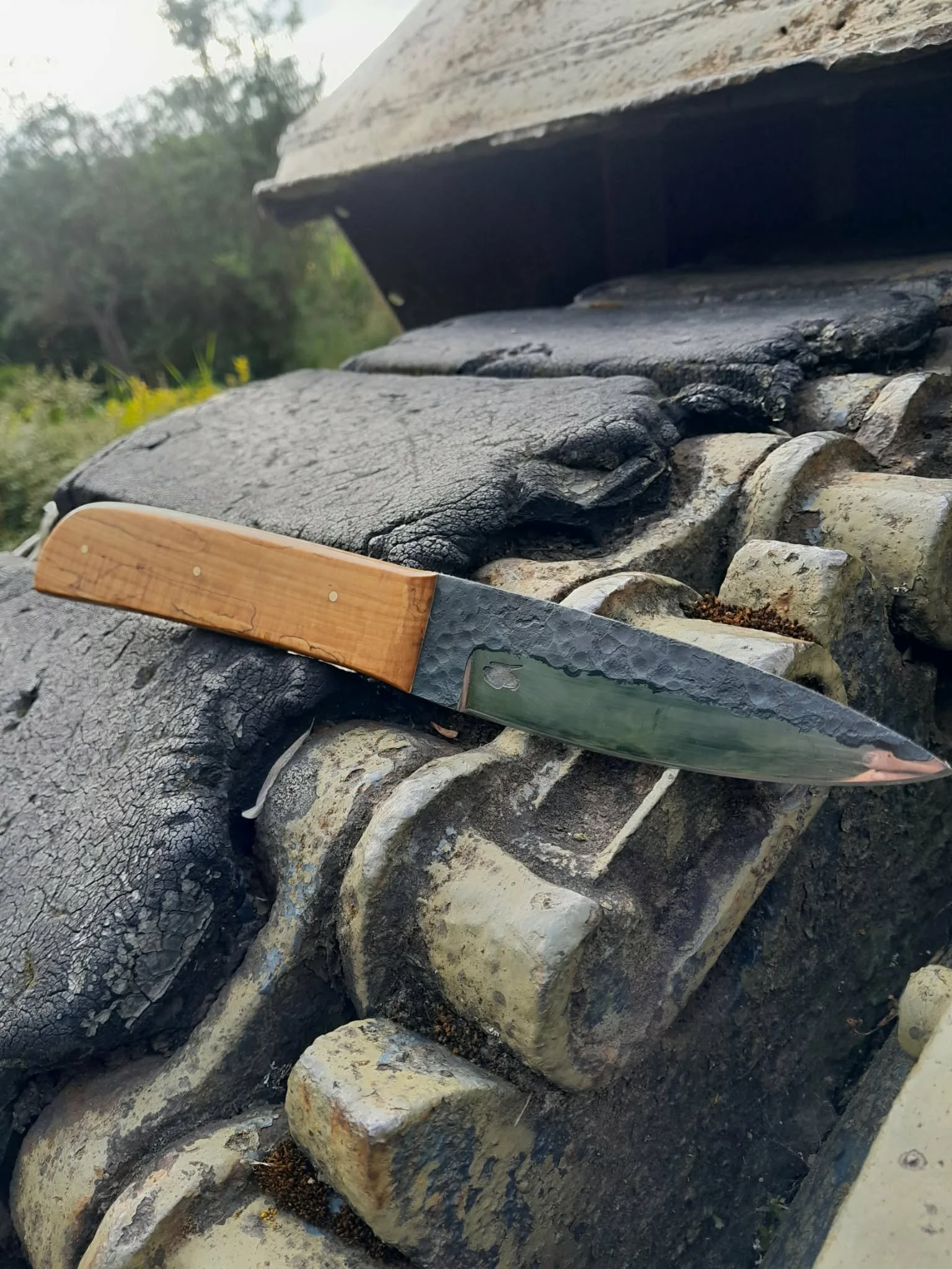 716009868_980919058060990_5898493039927449755_n.jpg