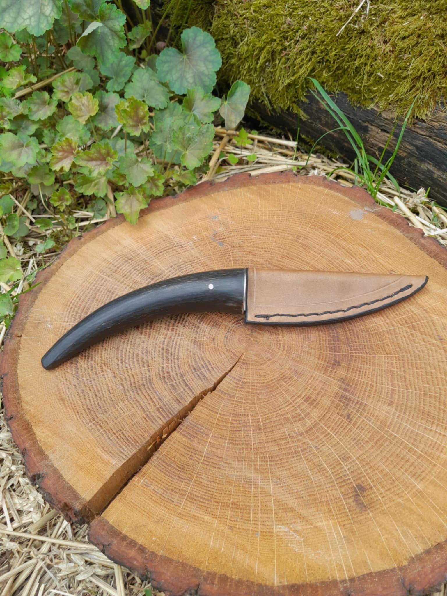 Le Couteau d'office corne de zébu