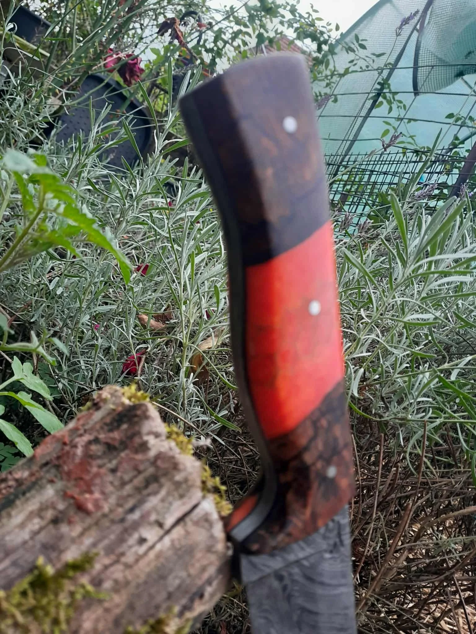 b7941160-1568-4959-adef-a8dfe384f0f0 (1).jpeg