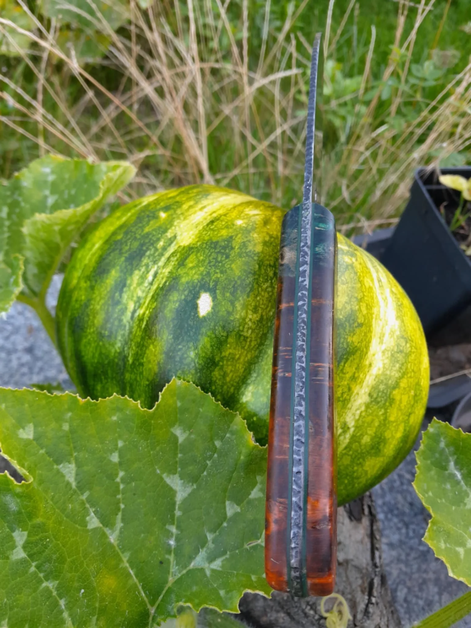 d5062d62-05a8-455d-bf31-135942f9af15 (1).jpg