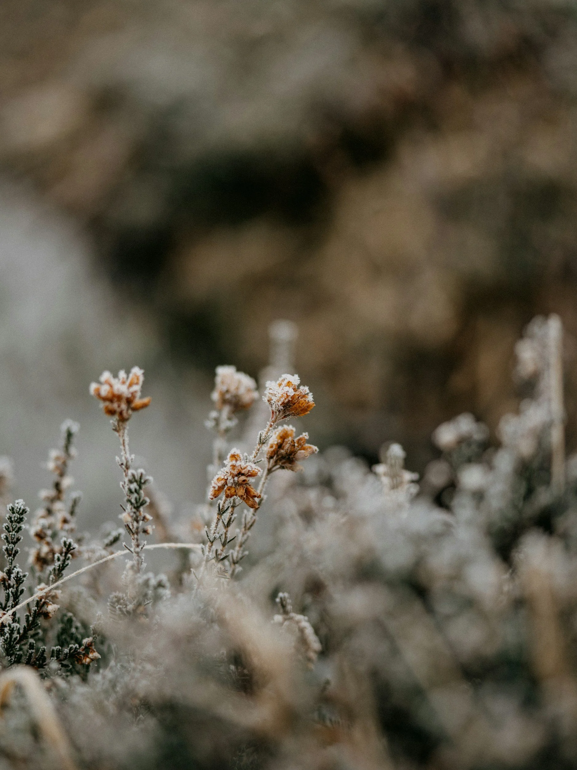 When Your Mother Felt Cold: The Wound You Didn’t Know You Had