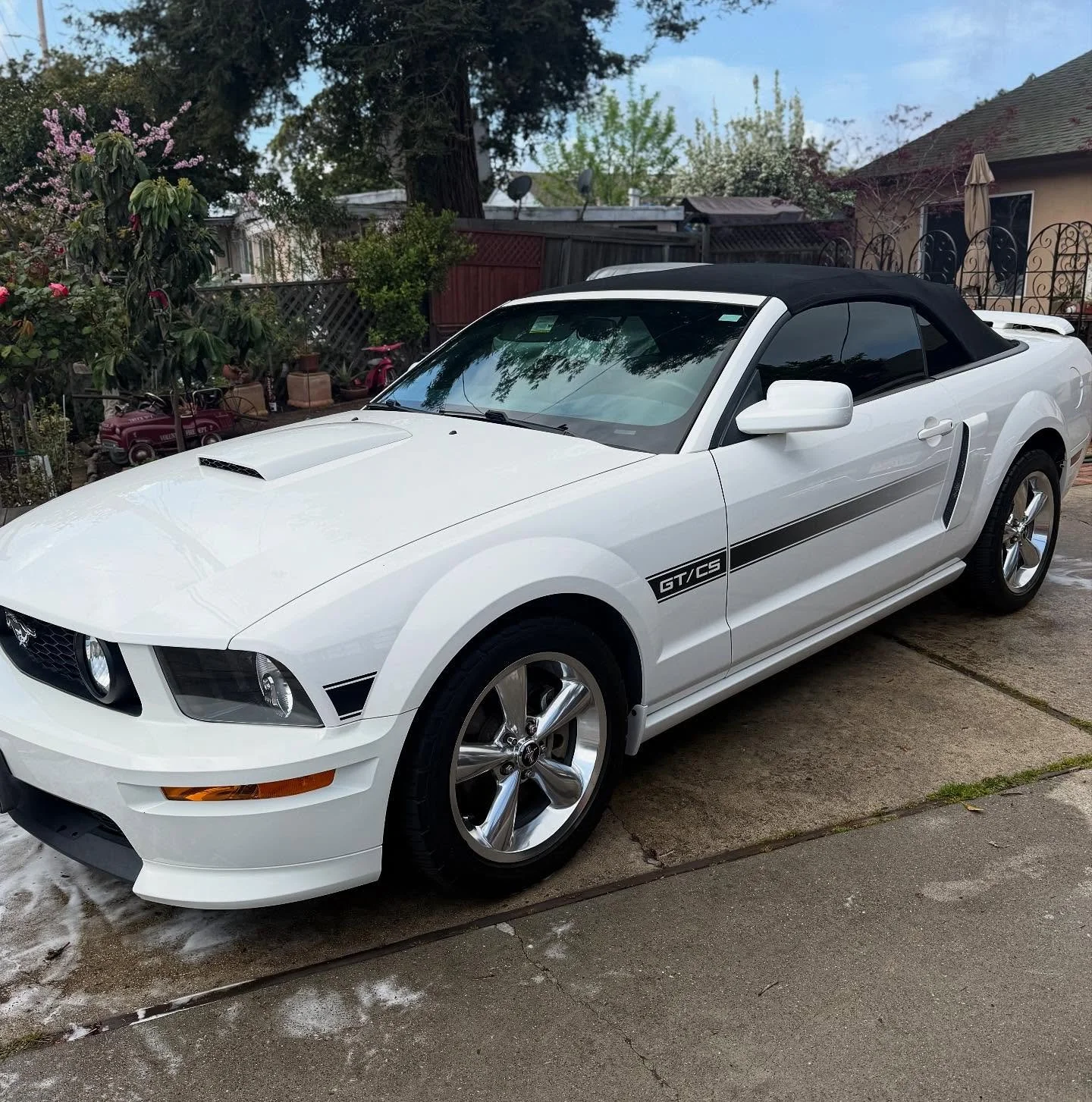 Mini Detail on a mustang GT/CS 
Book your appointment with us!📲
Located all around the bay area📍
(650)485-9461
tigersautodetail@gmail.com
#californiaspecial #coyote #mustang #5.0 #ford #detailing #autodetailer #mobile #bayarea #califonia