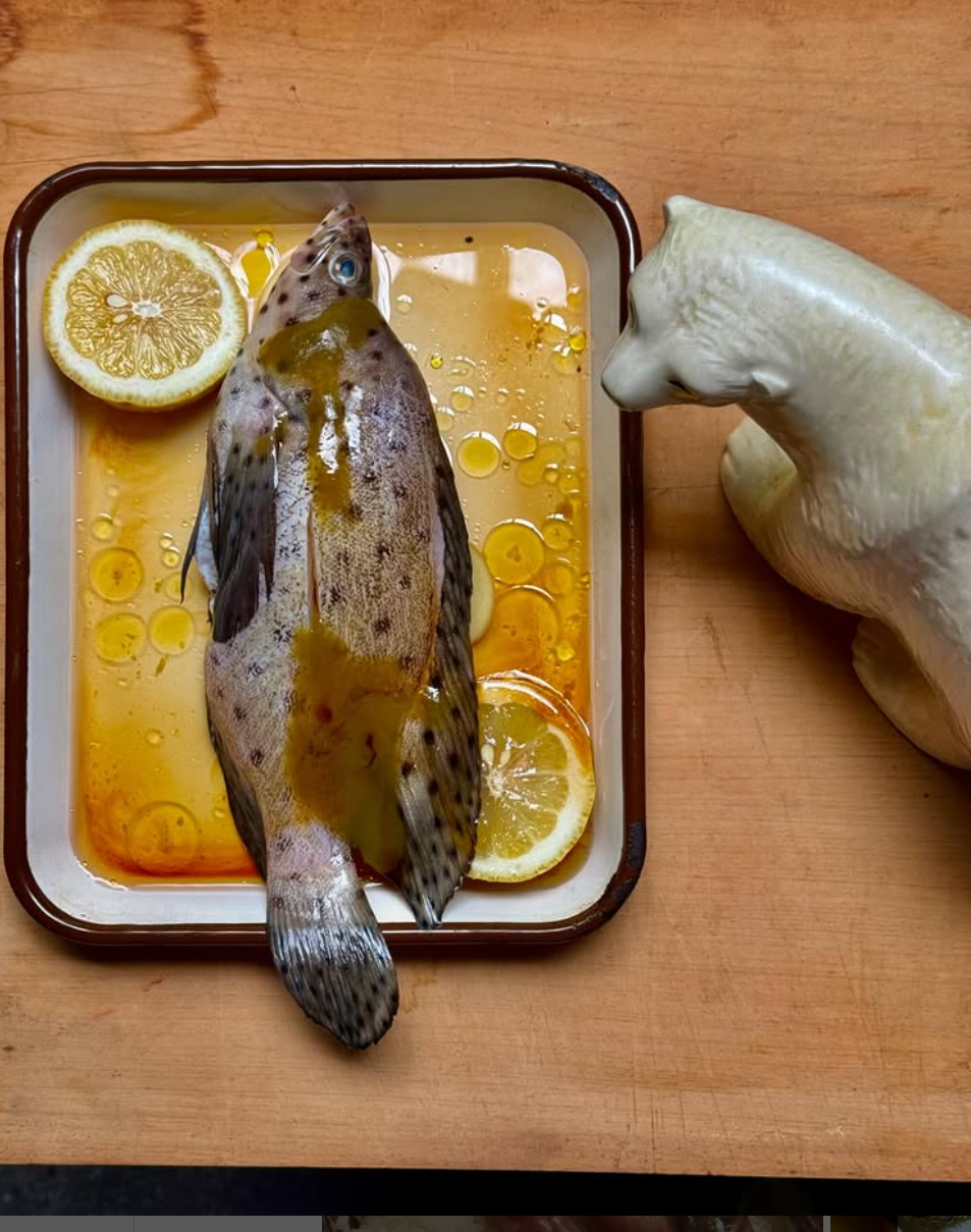 Screenshot 2024-12-20 4.18.25 PM.png