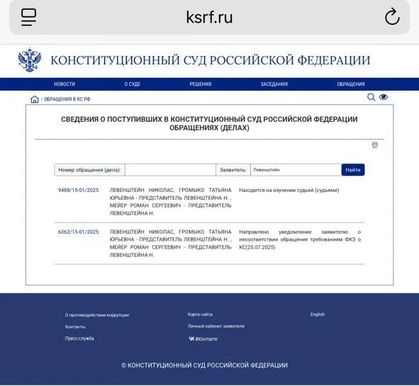 Constitutional Court proof of appeal acceptance (KSRF) - January 2026