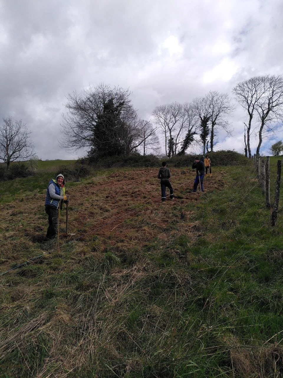 chantier-plantation-jeunes-arbres-lot.jpg.jpg