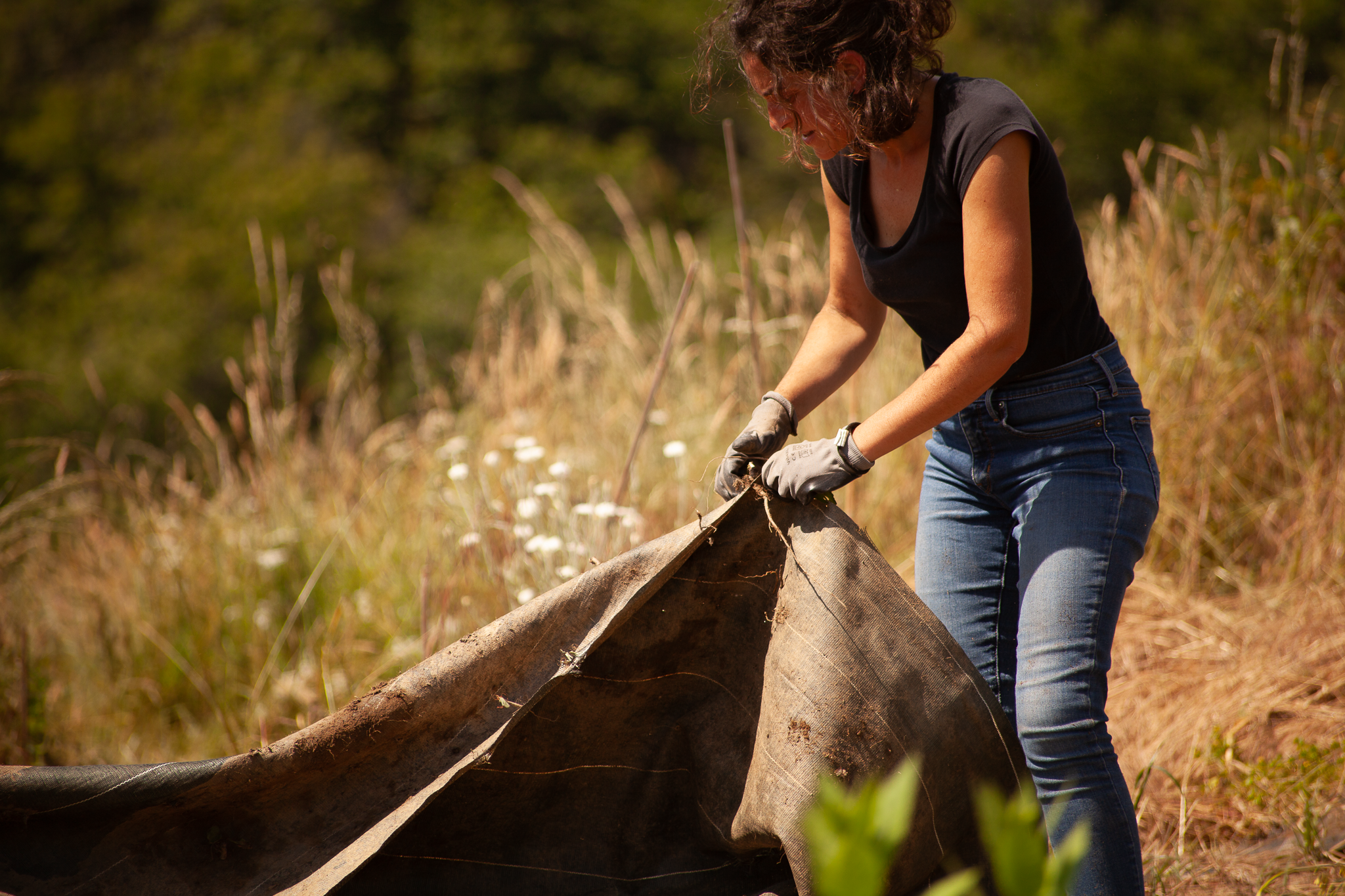 Les Bois Nouzilles-62.PNG