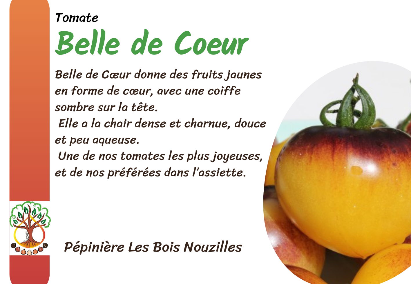 Belle de Cœur.png