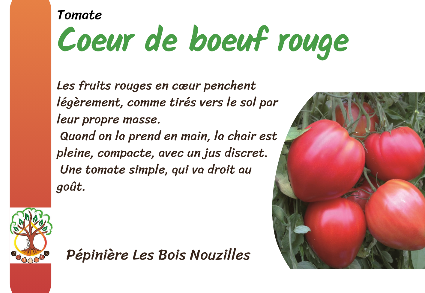 Cœur de Bœuf rouge.png