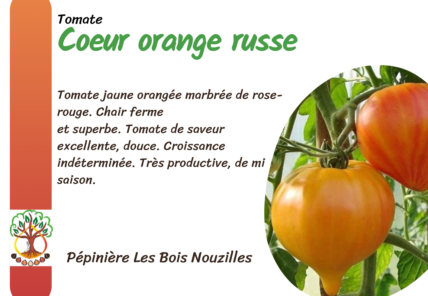 Coeur orange russe.png