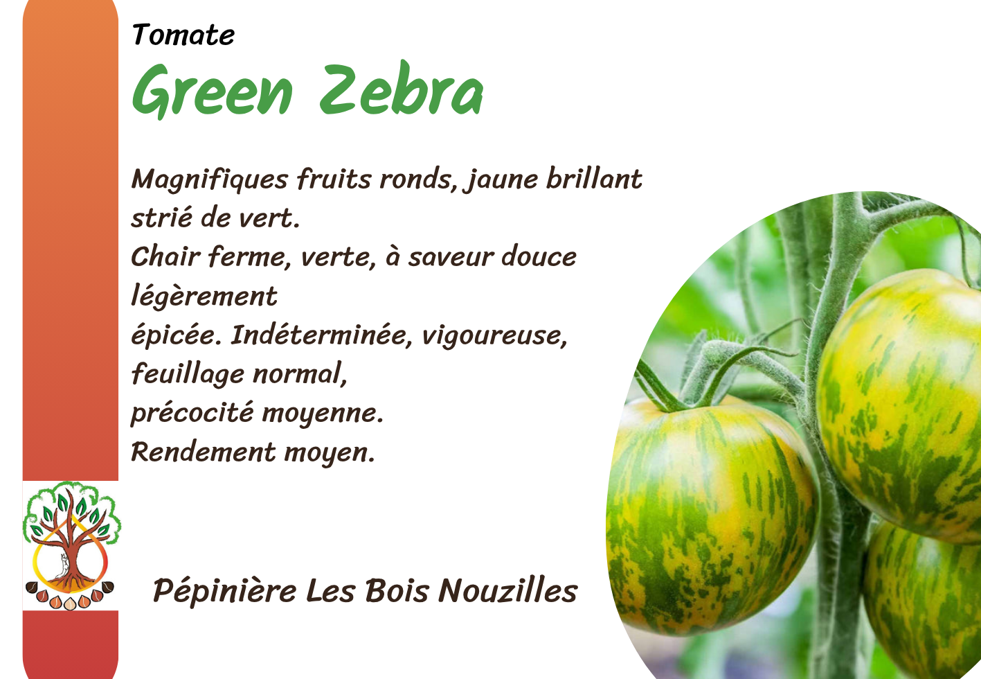 Green Zebra.png