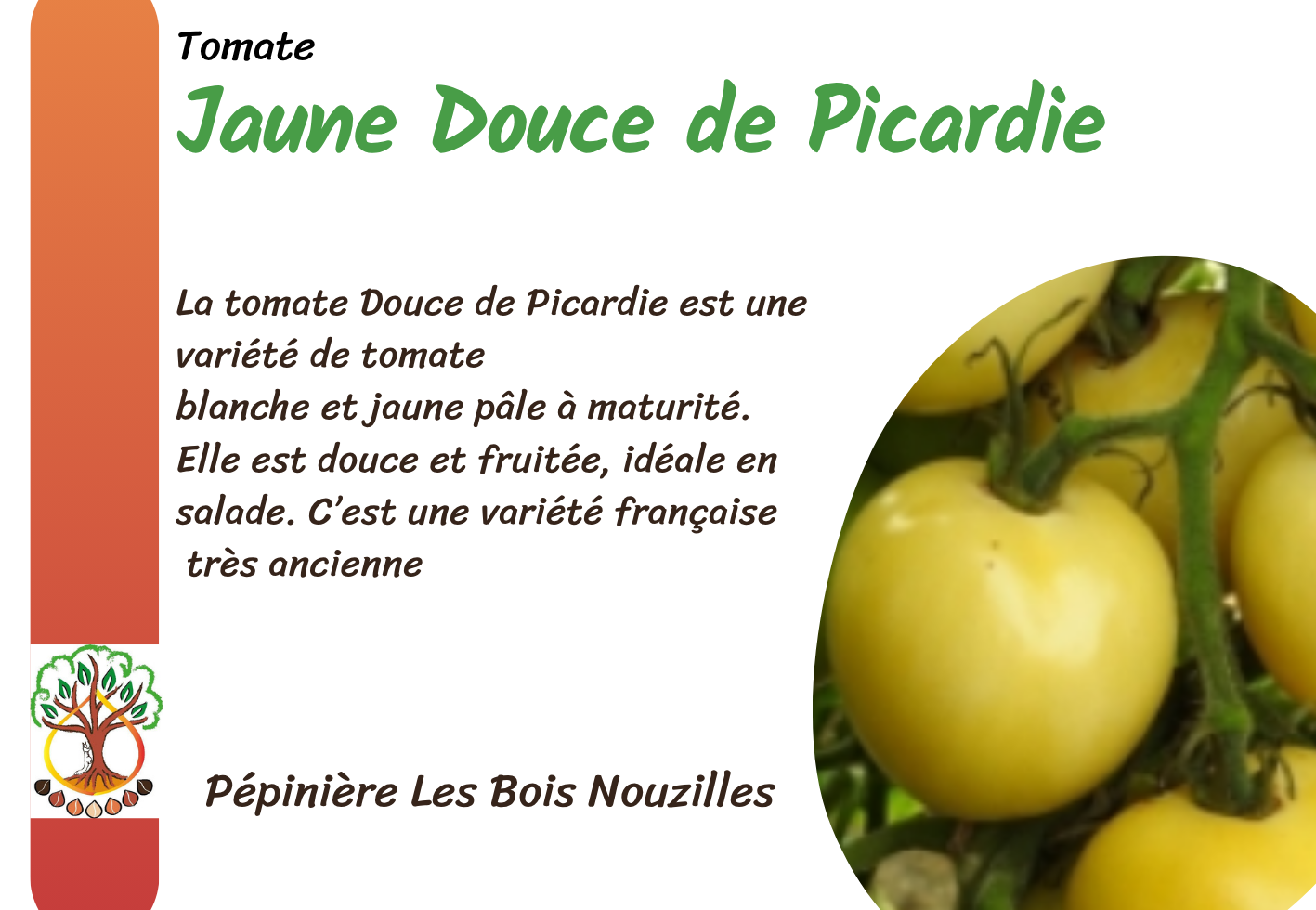 Jaune Douce de Picardie.png