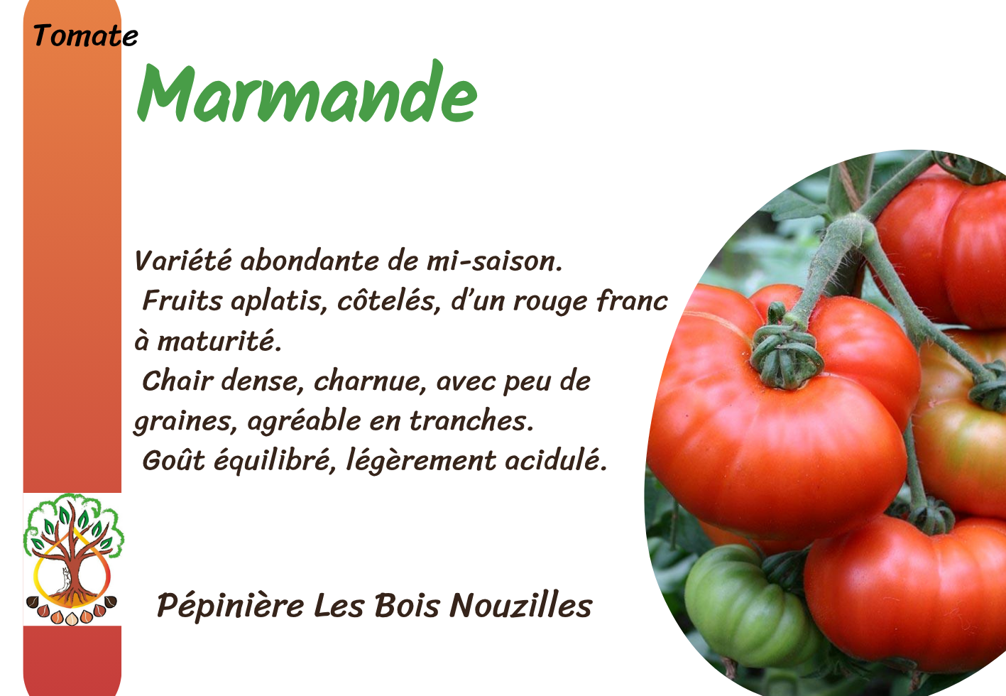 Marmande.png