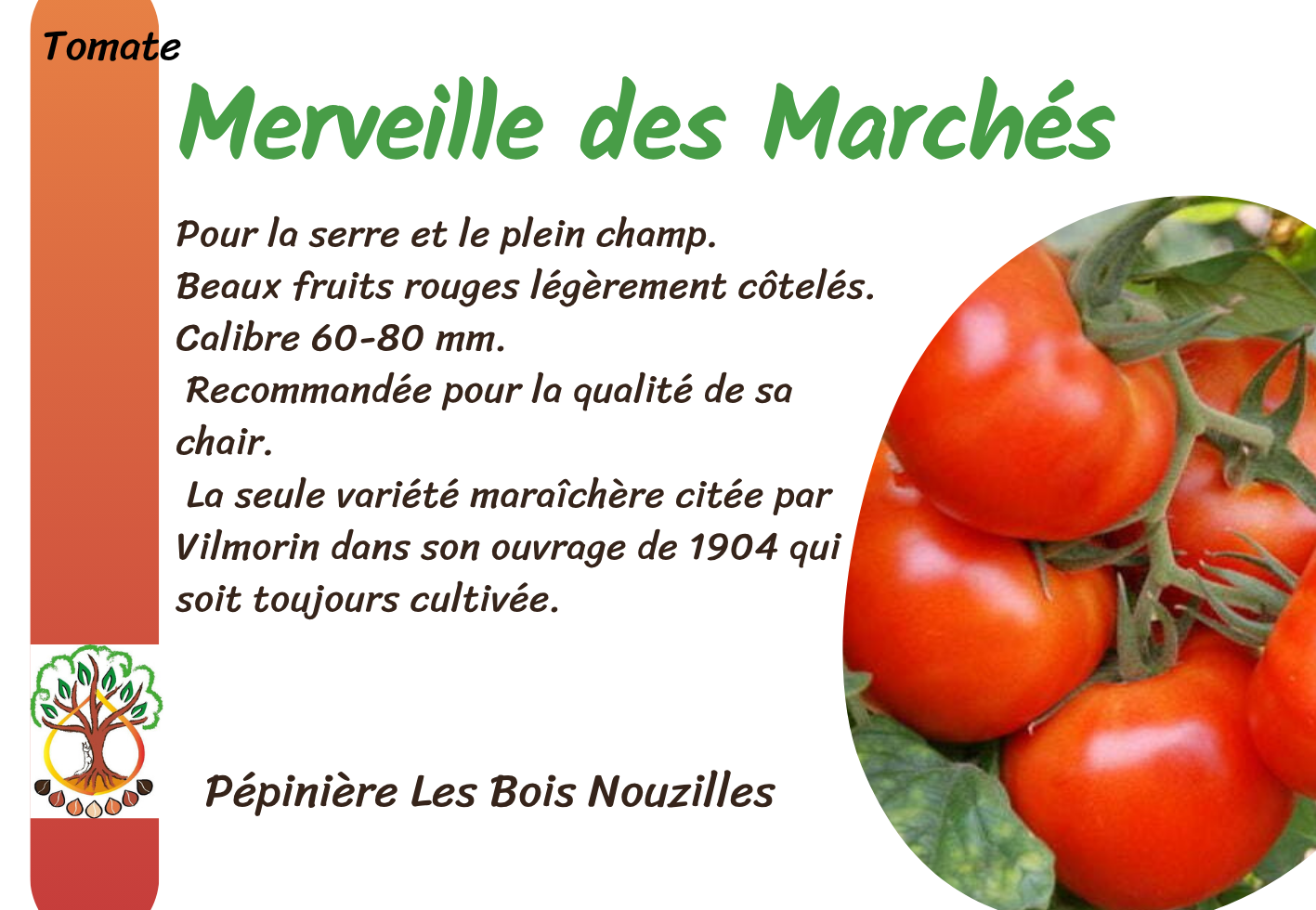 Merveille des Marchés.png