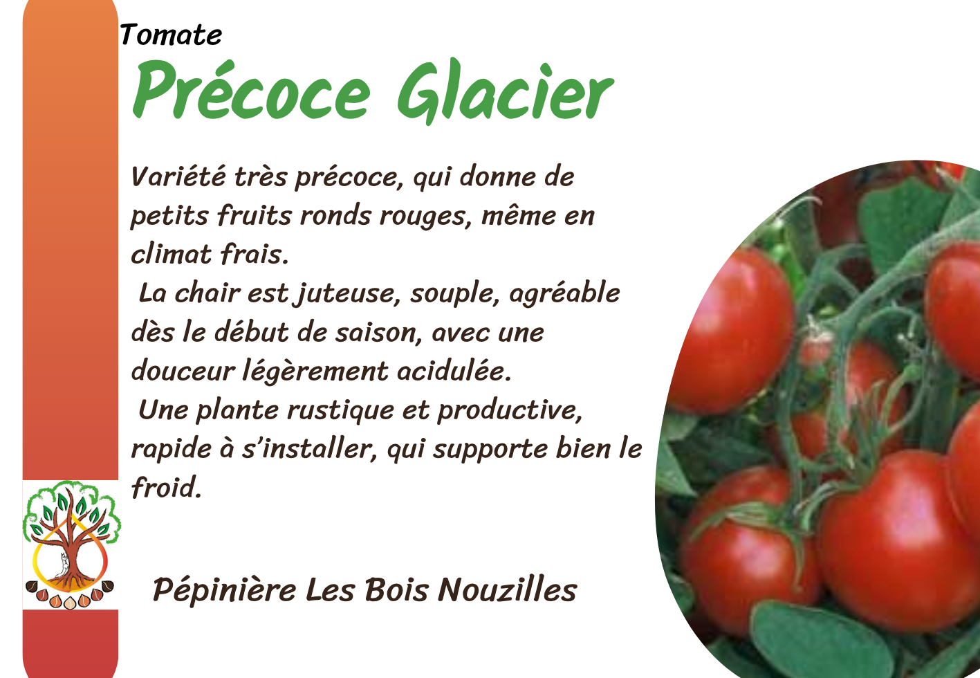 Précoce Glacier (Glacier).png