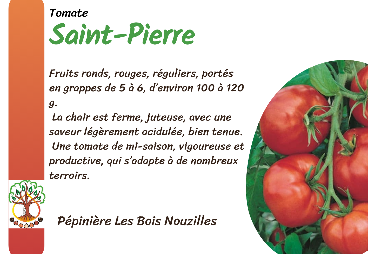 Saint-Pierre.png