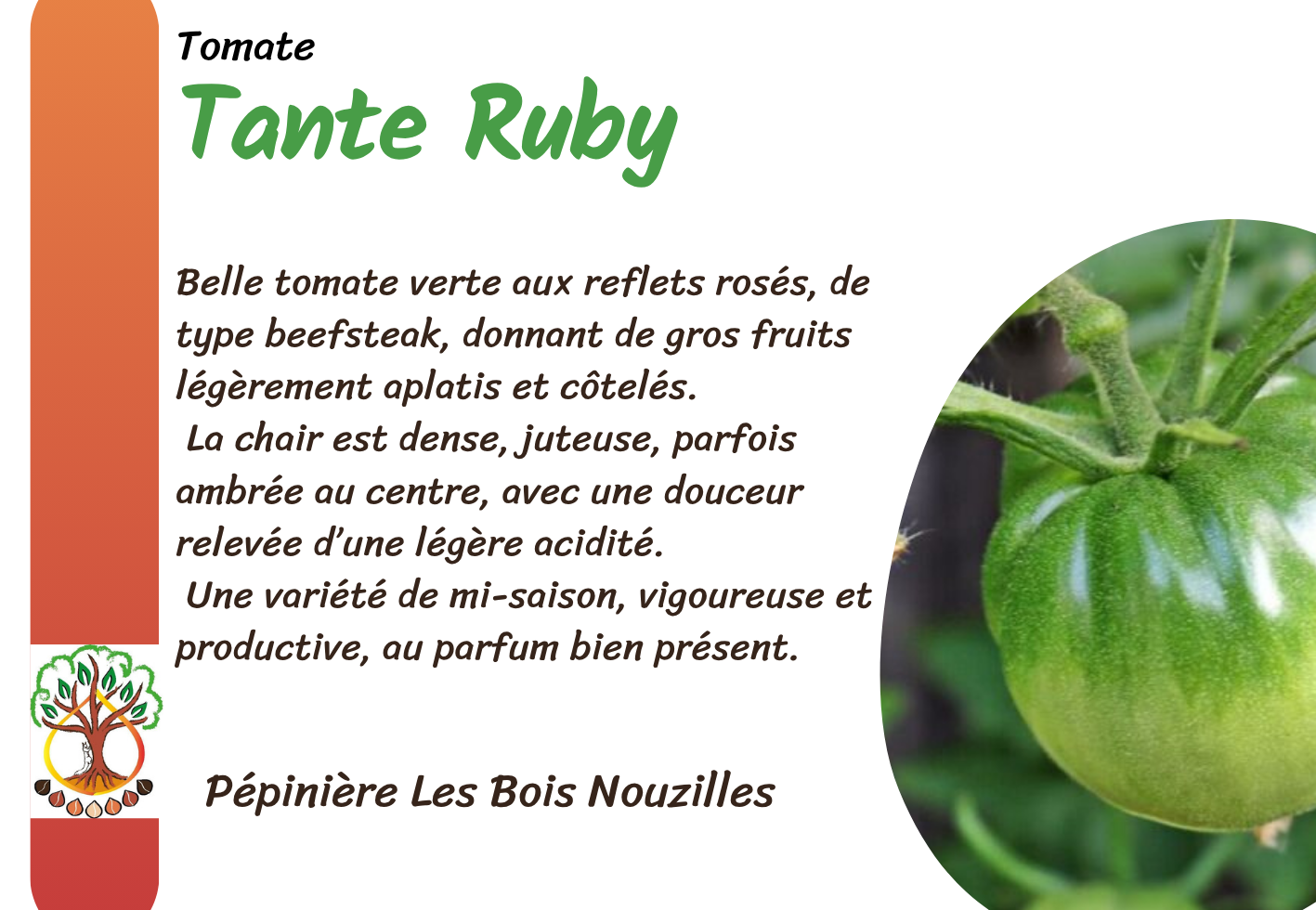 Tante Ruby (Aunt Ruby’s German Green).png