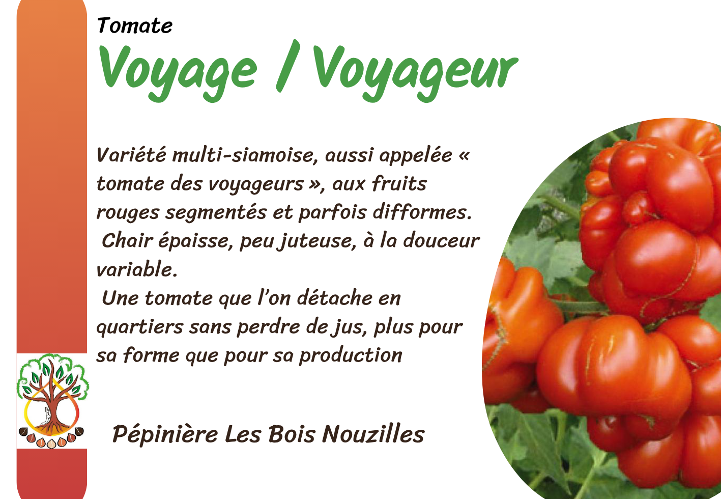 Voyage  Voyageur.png
