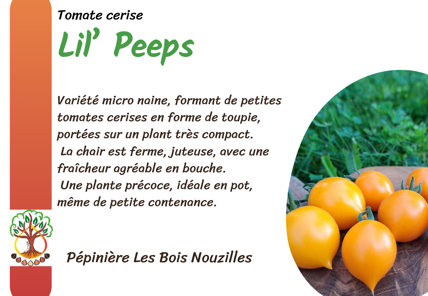 Lil’ Peeps.png