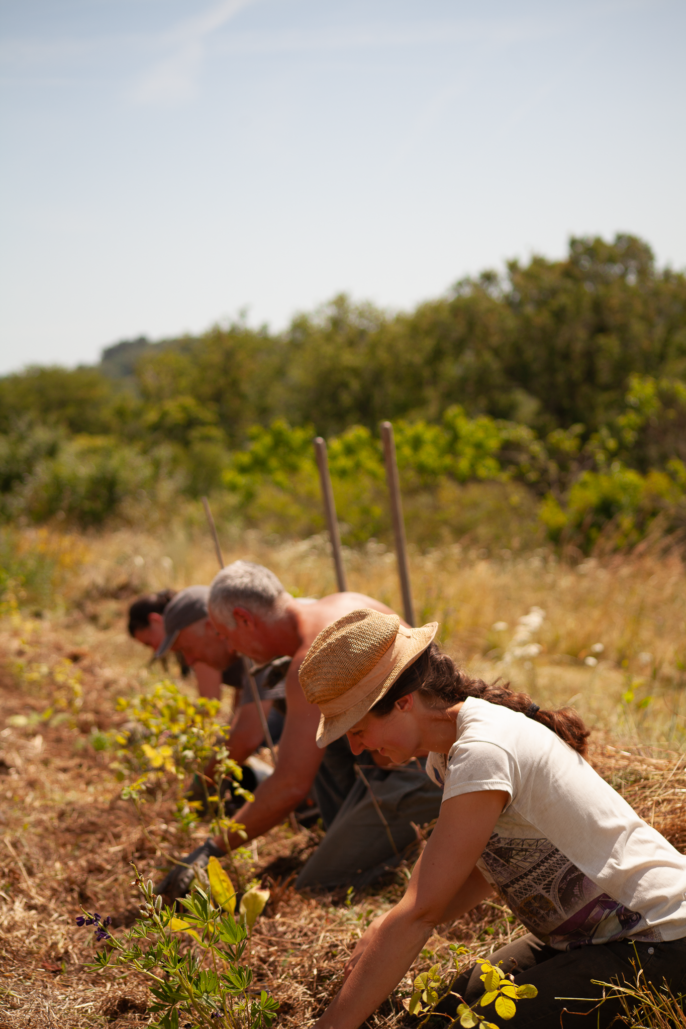 Les Bois Nouzilles-57.PNG