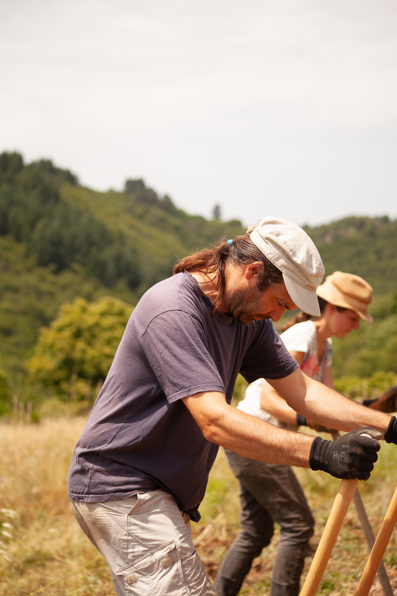 Les Bois Nouzilles-31.PNG