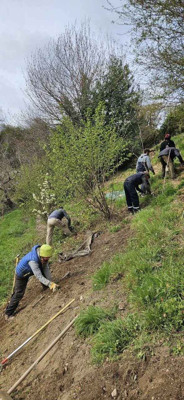 ferme-vivante-agroforesterie-figeac.jpg.jpg