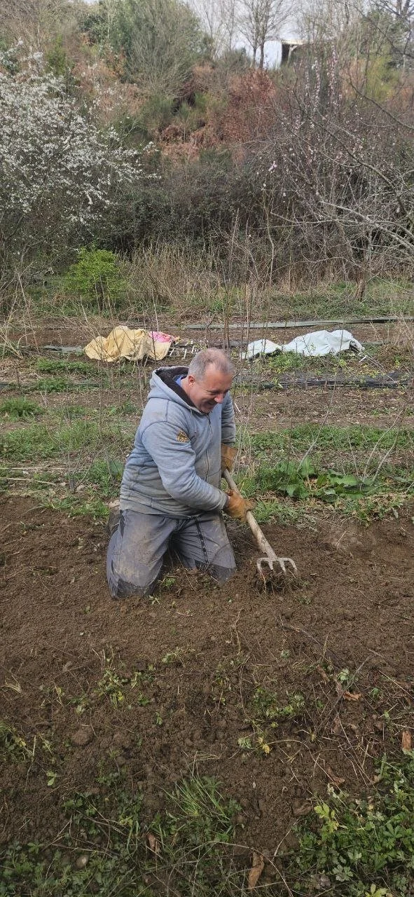 chantier-plantation-arbres-saint-perdoux-lot.jpg.jpg