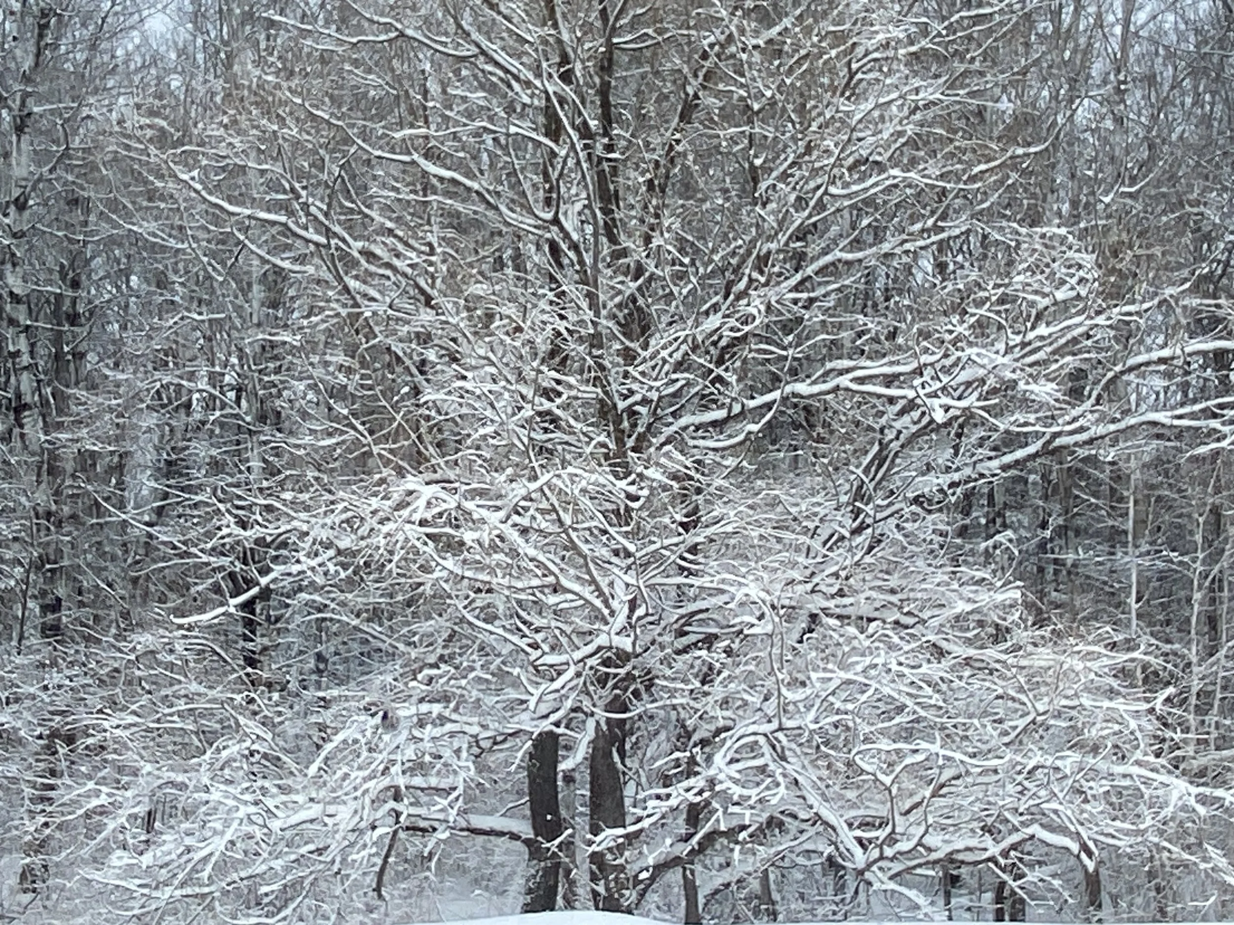 You’re already doing it 