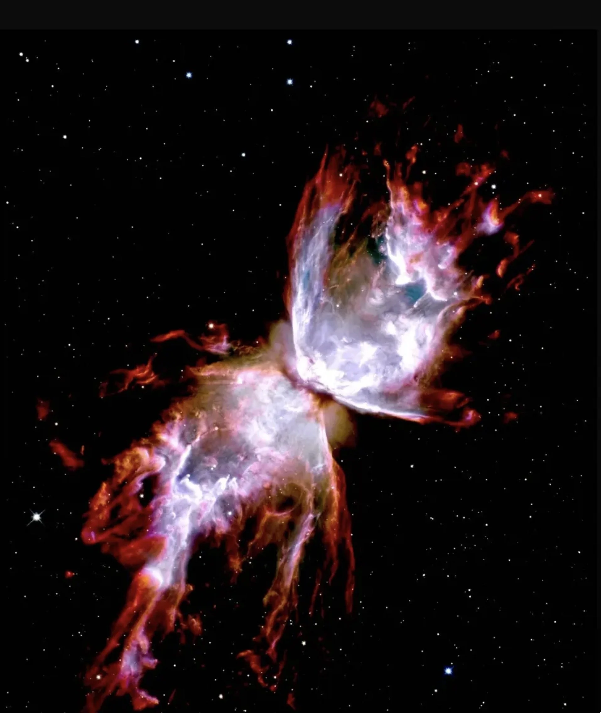 In the depths of overcast skies 