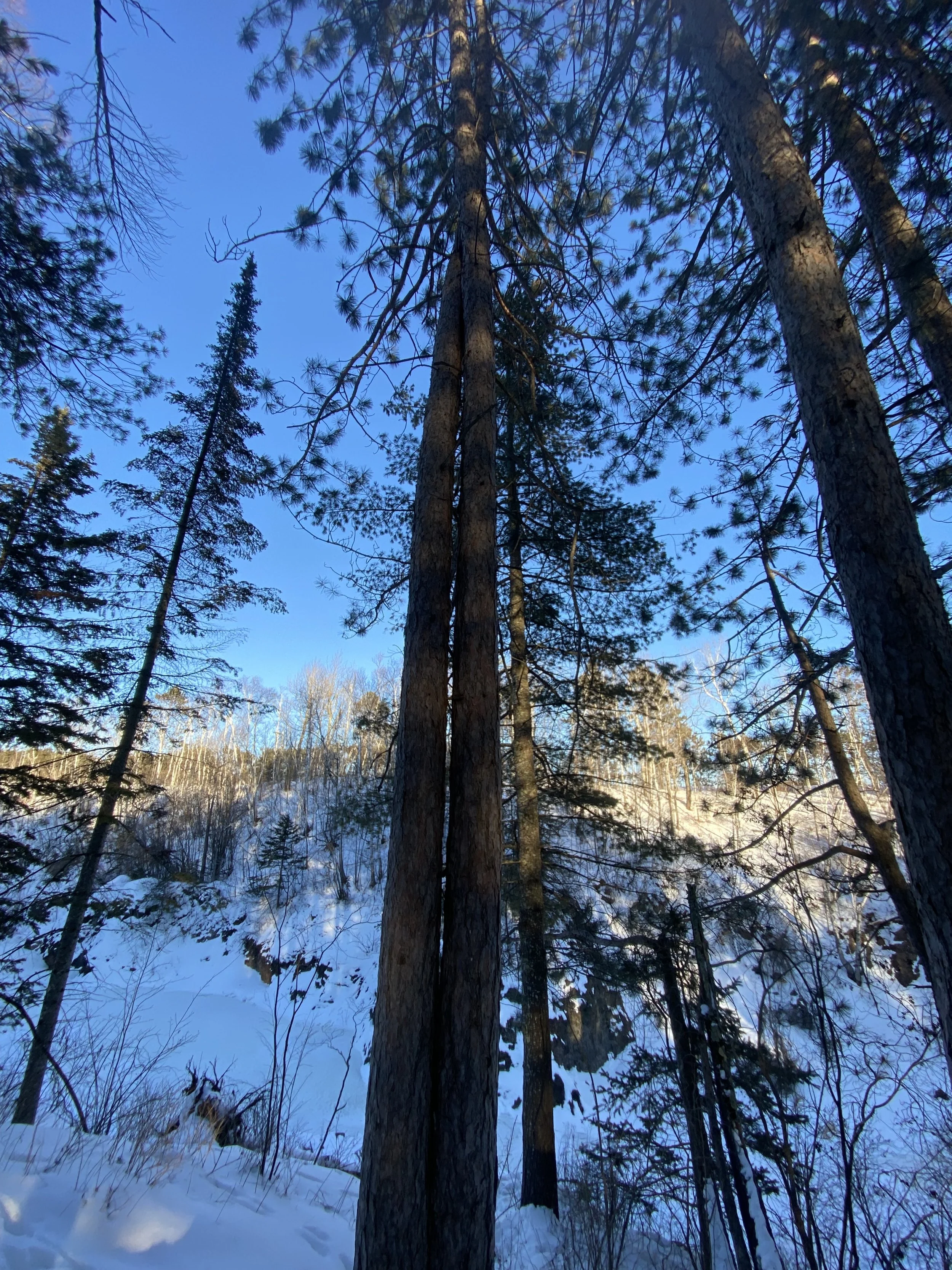 Warm hearted in a cold world