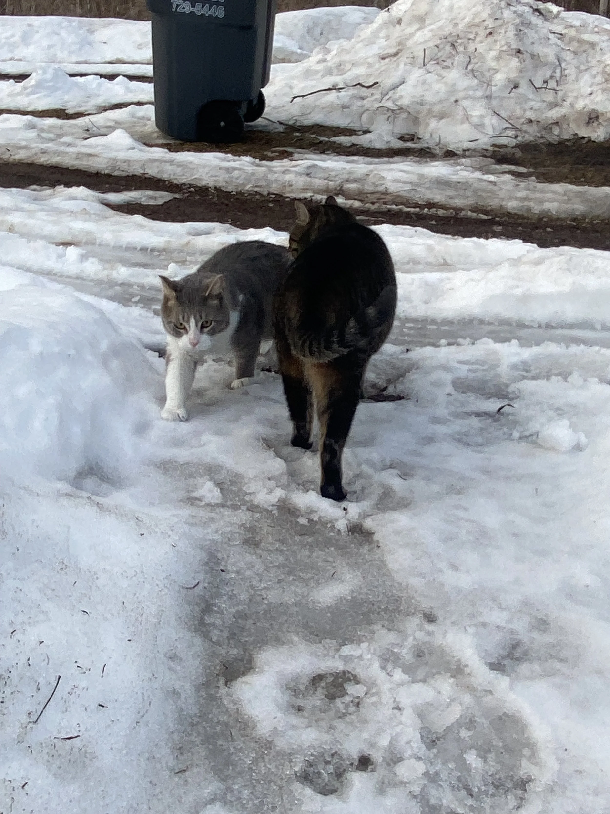 Everyday is a winding road 