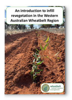An introduction to infill revegetation in the Western Australian Wheatbelt Region