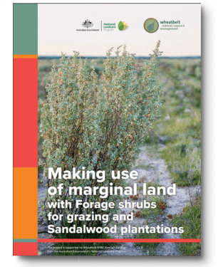 Making use of marginal land with Forage shrubs for grazing and ...