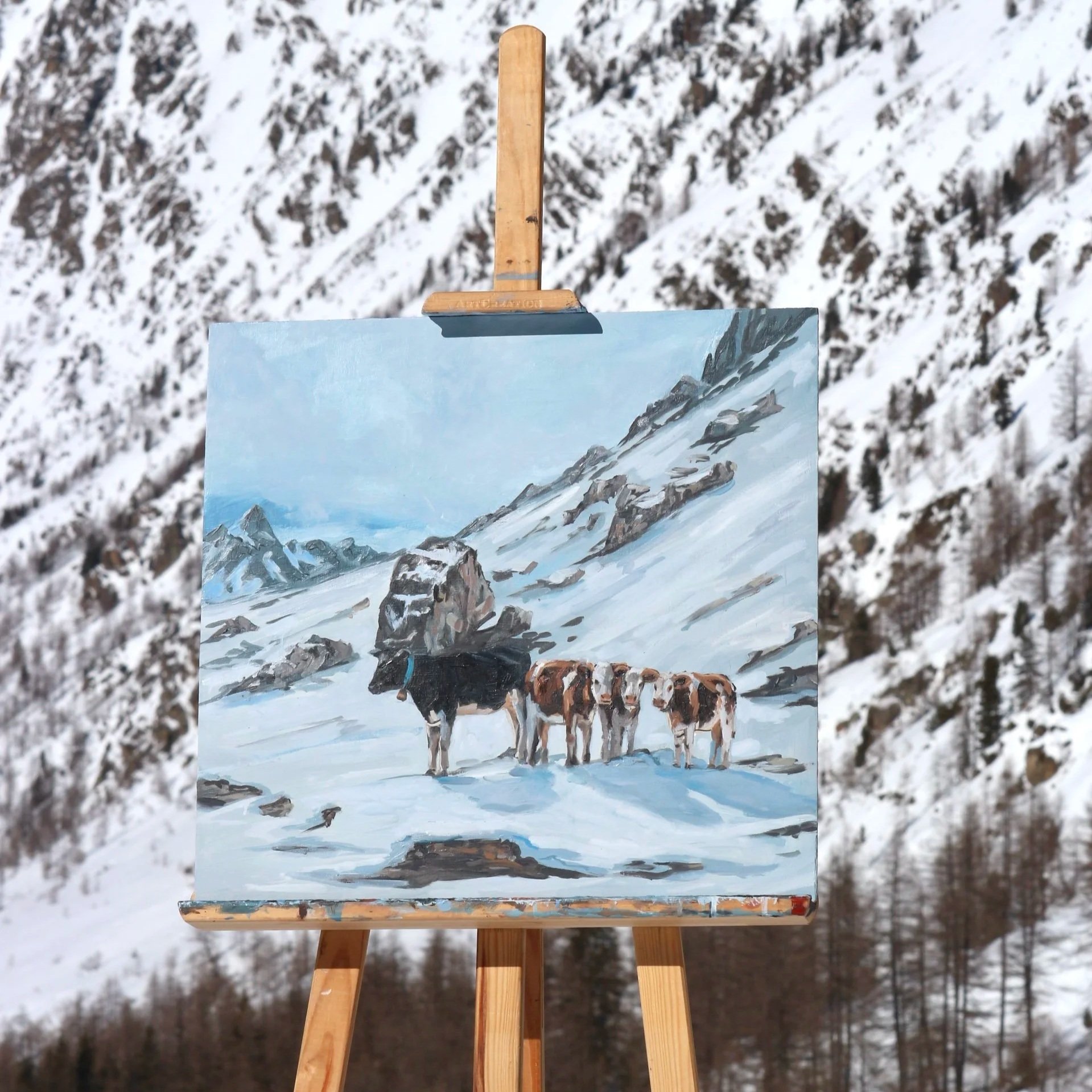 Vachettes montagnardes