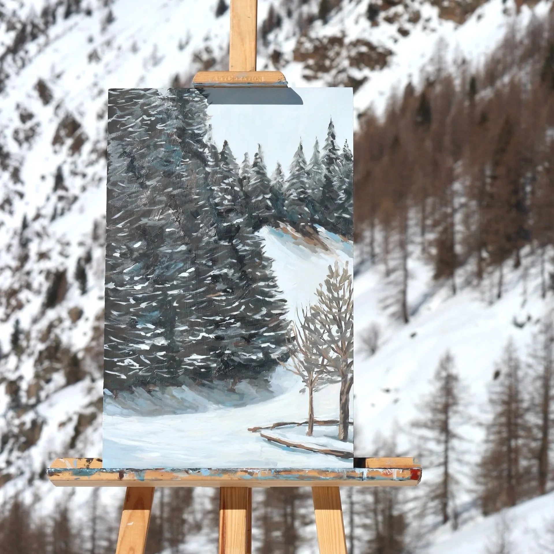 Jour blanc à Chamrousse