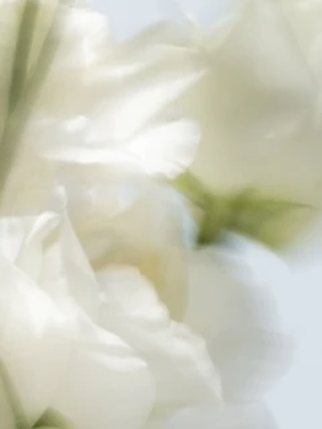 Flower 1.png