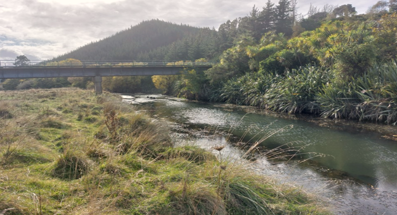 Tuamarina Stopbank Repair