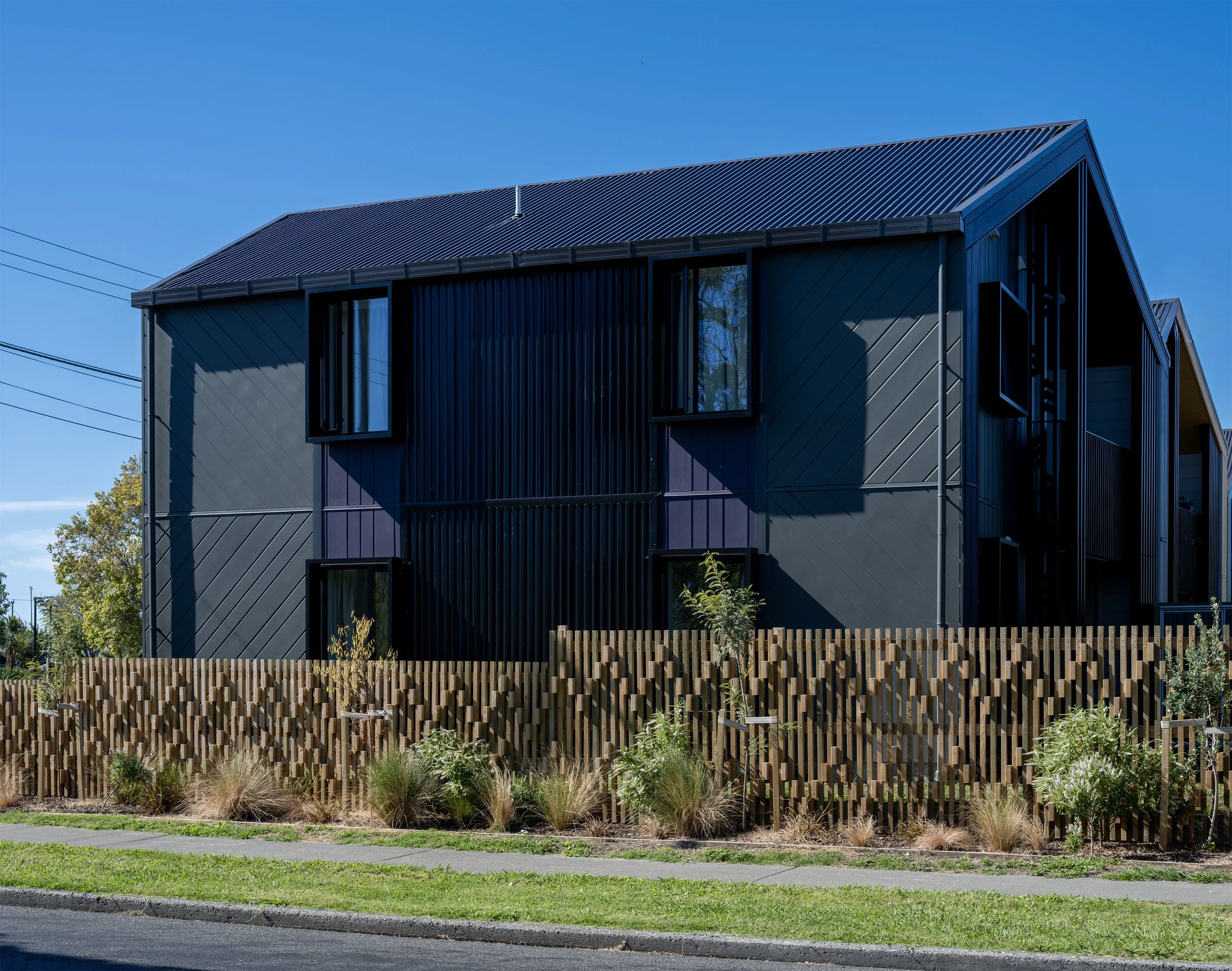 DCA_Bledisloe_9204_05 copy.jpg