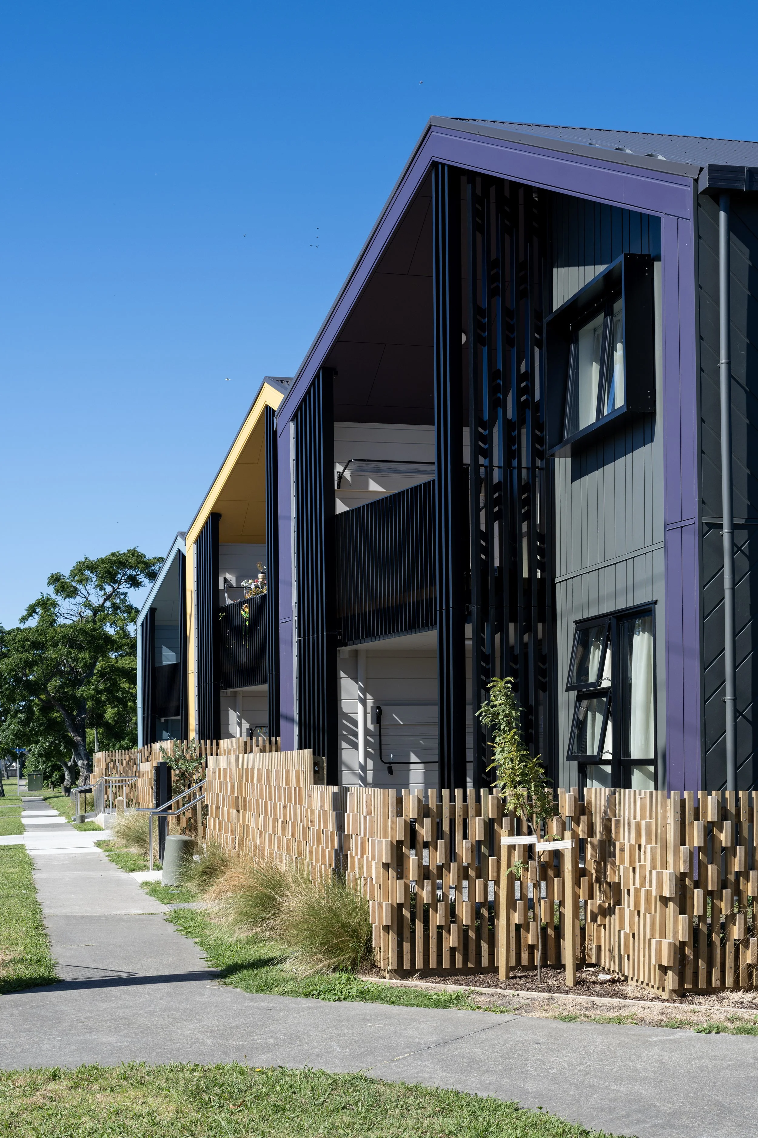 DCA_Bledisloe_9191 copy.jpg