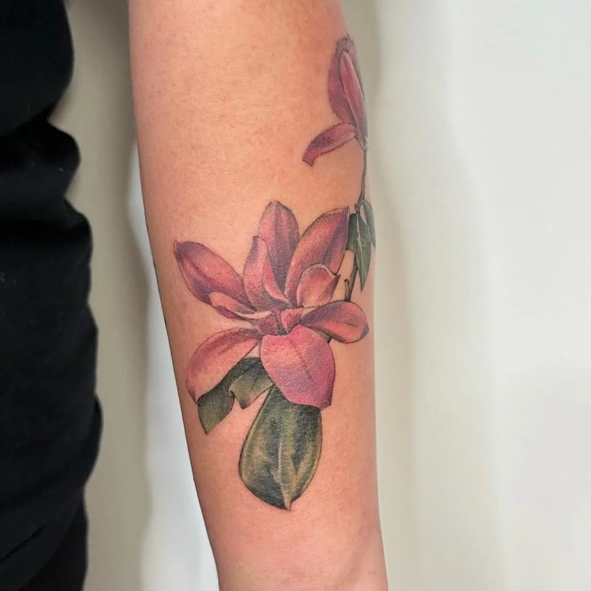 Most often now I get asked for my black and grey or watercolor, but I also love color realism! (And I always love floral pieces!) 
These magnolias are some of my favorite I’ve ever done!
Now booking for custom tattoos, or predrawn designs in