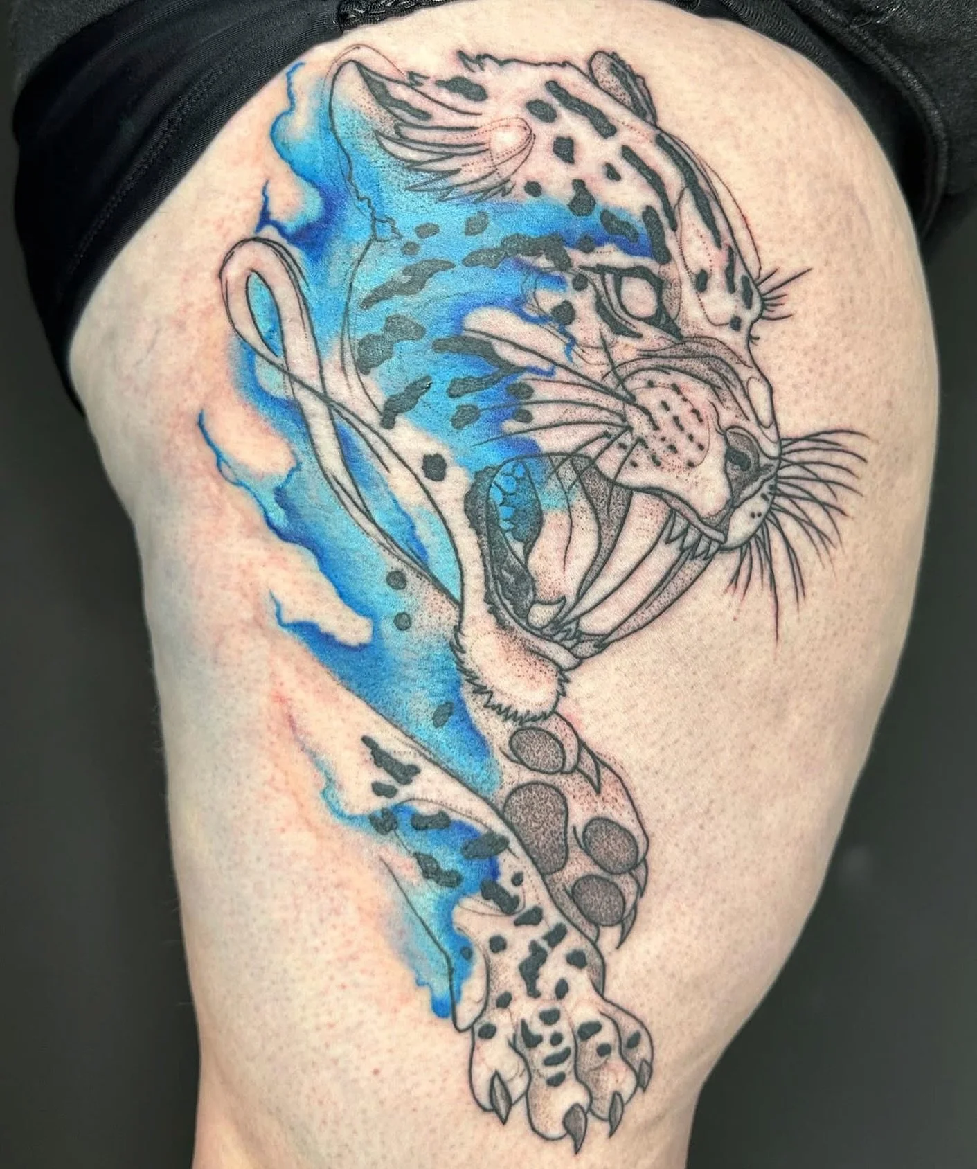 Something more illustrative with a splash of watercolor!

This Sabertooth project was so much fun to work on!

@industryinksusa @ghosttattooco @bishoprotary  @lunartattoosupply @tatsoul @vitalitreetattoo @saniderm @emalla.official 
 #tattooartist #ta