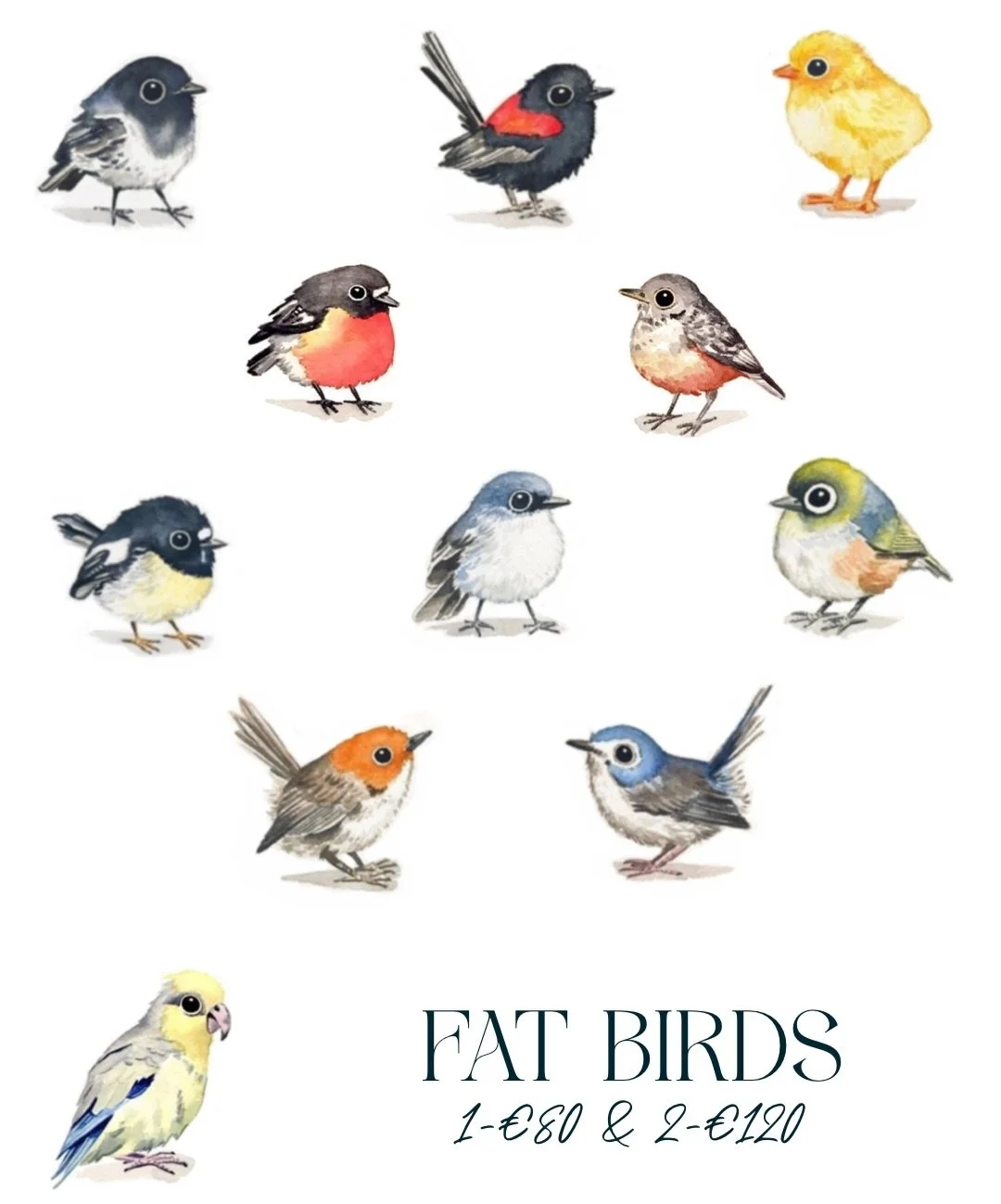 🐦 Fat Birds 🐦 

I have a little collection of birds I would love to tattoo! 
Pricing is for color 4-5cm 1 for &euro;80 or 2 for &euro;120

Black and grey would be &euro;65 each or 2 for &euro;100

I can design a custom bird or tattoo these a bit la