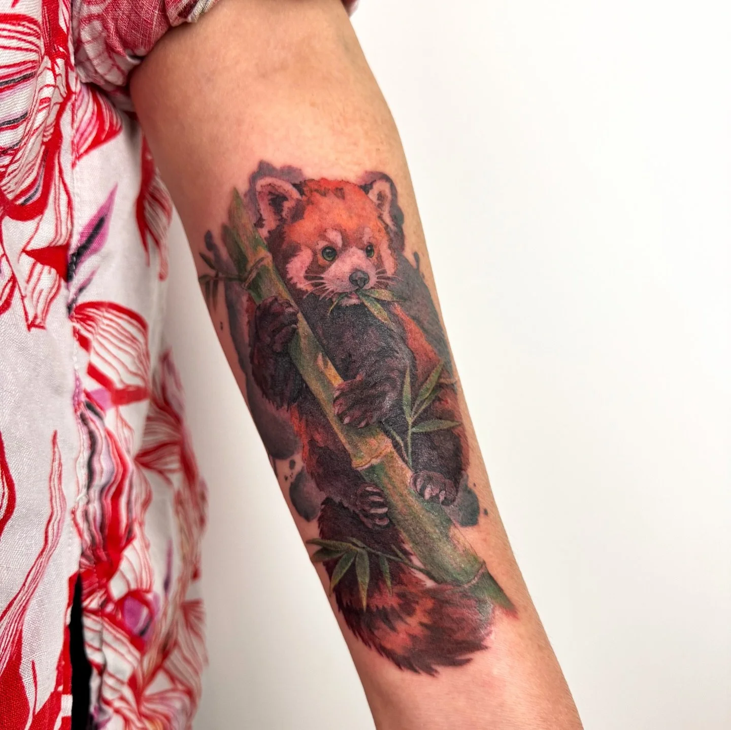 I had the absolute dream of tattooing this red panda!

I would love to tattoo more animals and flowers and portraits in this kind of style! 

Keep your eyes peeled for new designs coming soon! And see the highlight on my profile for current available