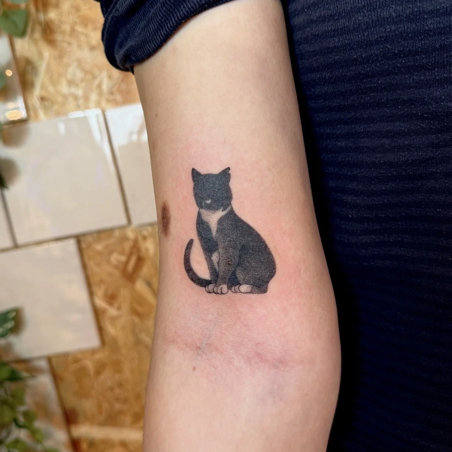Finding a balance is key with every tattoo, but for little Pippi it was important that her white markings stood out in the tattoo representing her! 

So we changed the idea of a full silhouette - and did something a tiny bit more illustrative and fun