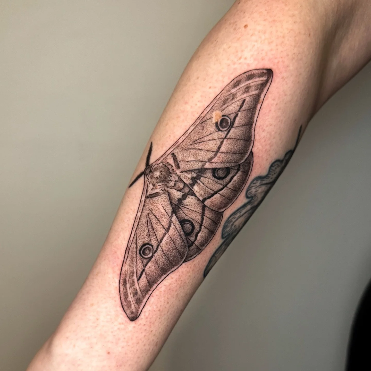 Celebrating milestones and life events with tattoos is nothing new, however @you_be_the_moon has been around since I was a baby in this industry. 

Richelle has trusted me with a few different tattoos - but getting to do a couple Lord of the Rings ta
