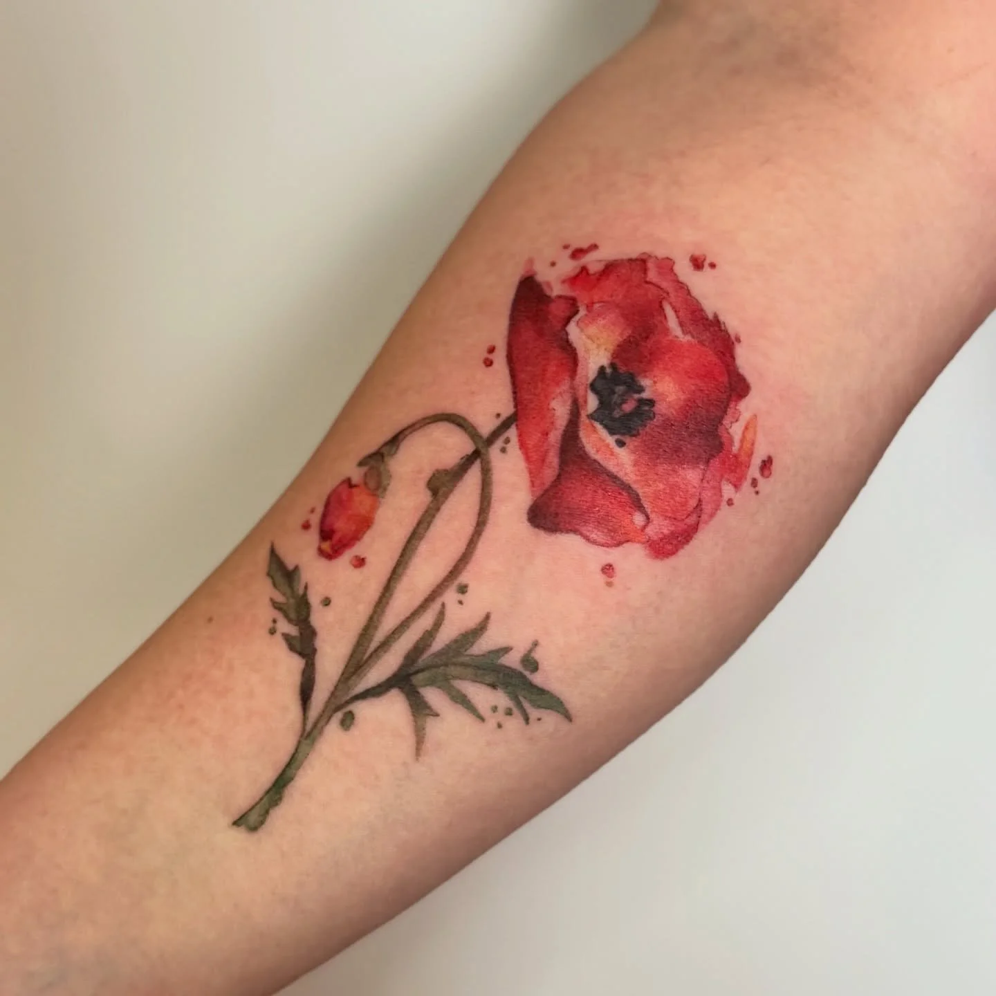 Paintings you can wear on your skin 🎨 

Watercolor tattoos and painterly tattoos are quite literally always on my mind. 

I always thought that I would be a blackwork artist until I really started getting comfortable with color theory.

Now I can&rs