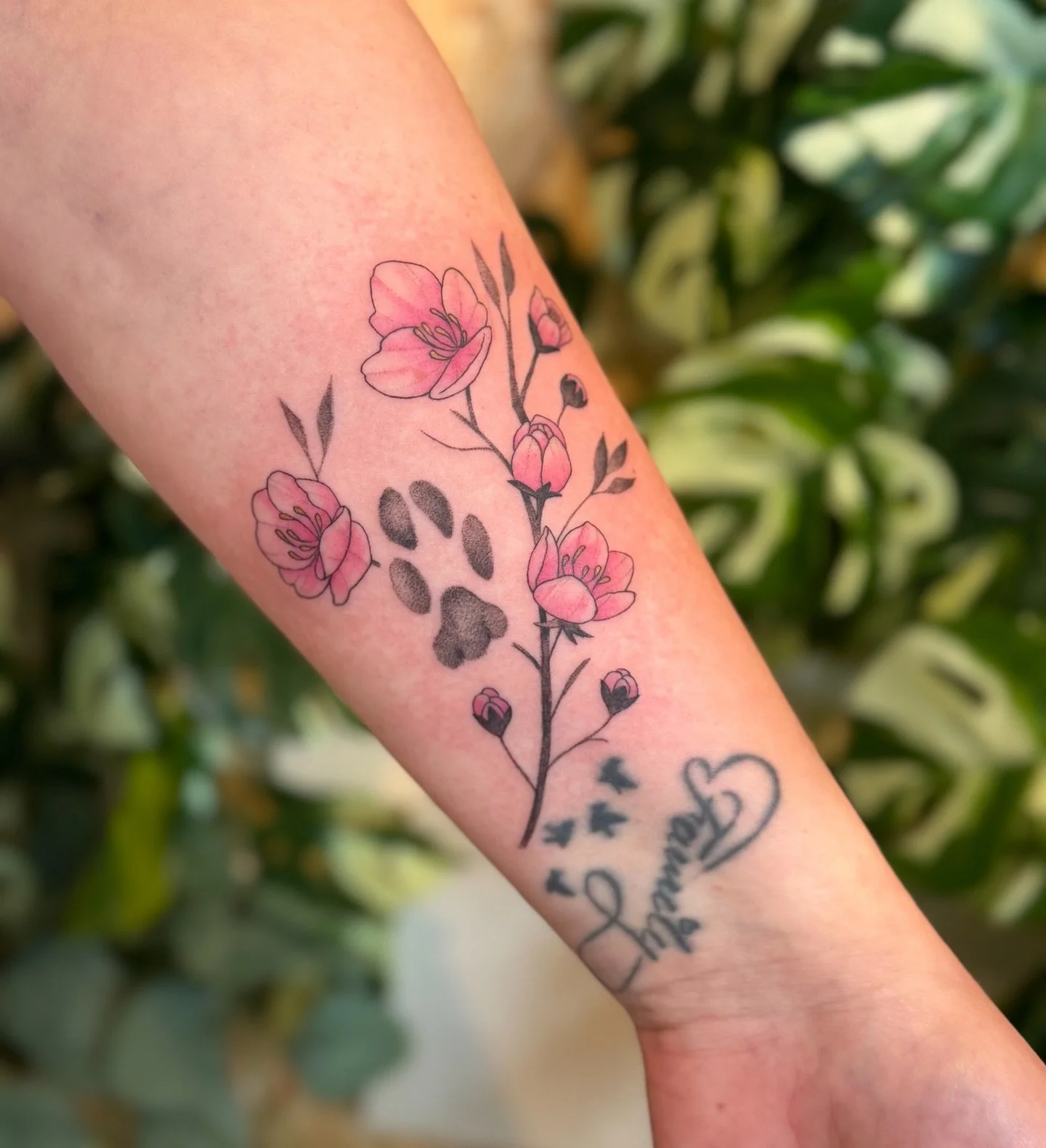 Cherry blossoms have been some of my favorite flowers to tattoo since I was an apprentice, and it&rsquo;s nice that I still get asked to do so many of them! 

Whether their realistic or fineline, full color or black and grey - florals are one of the 
