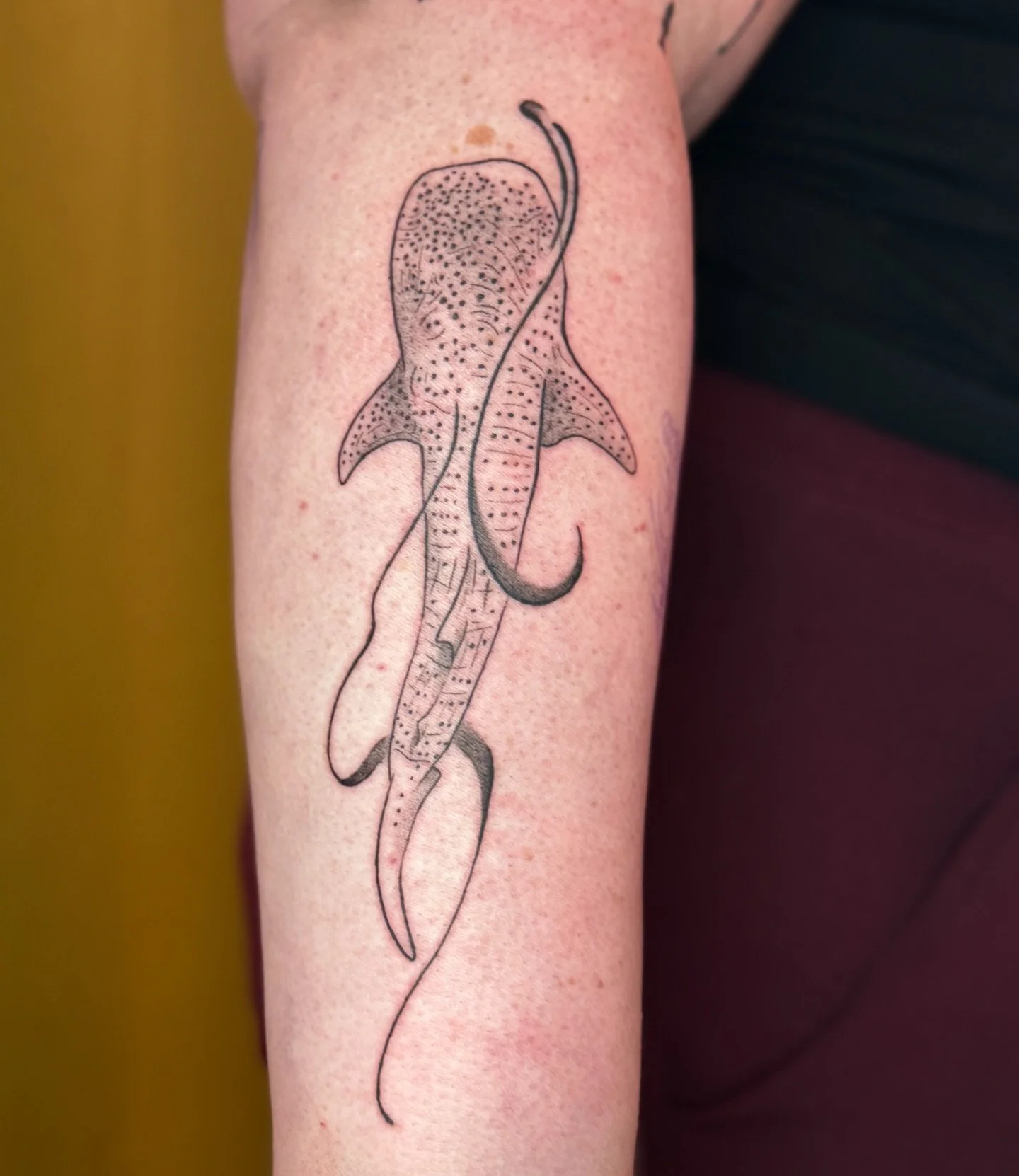 A wonderful start to what is going to be a beautiful and empowering underwater sleeve! 

Thank you so much for the trust Vera! I can&rsquo;t wait to get back into this project with you!

@naald.en.inkt in Haarlem and Leiden
@studio.zuiver in Zeist

M