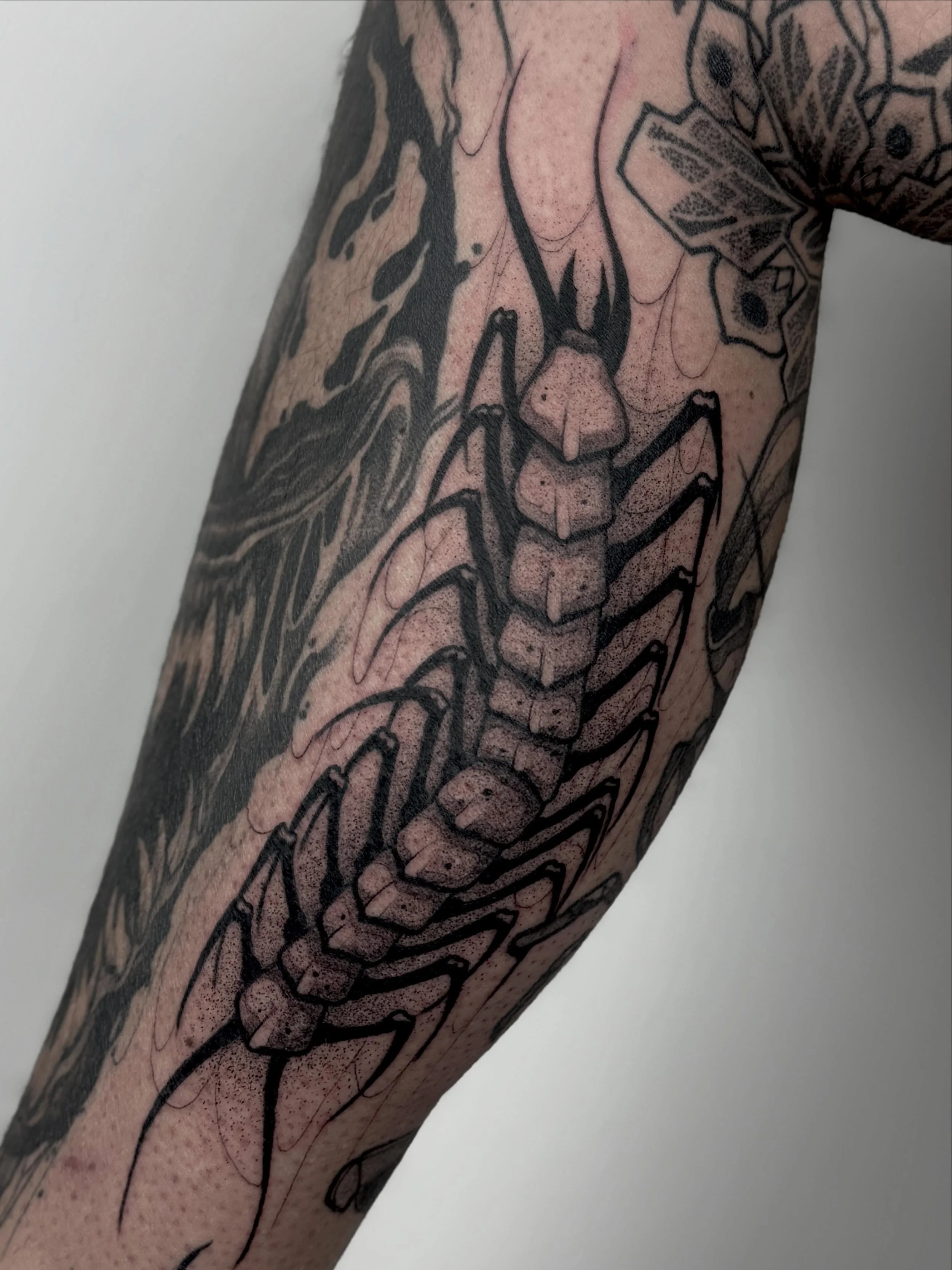 Check out this CENTIPEDE I made on Dennis last week! Always a blast ❤️&zwj;🔥 To let me freehand a design takes alot of trust from my customers and it is an honour for me anytime I get asked to do it! Thank you guys for letting me do my thing 🫶 Love