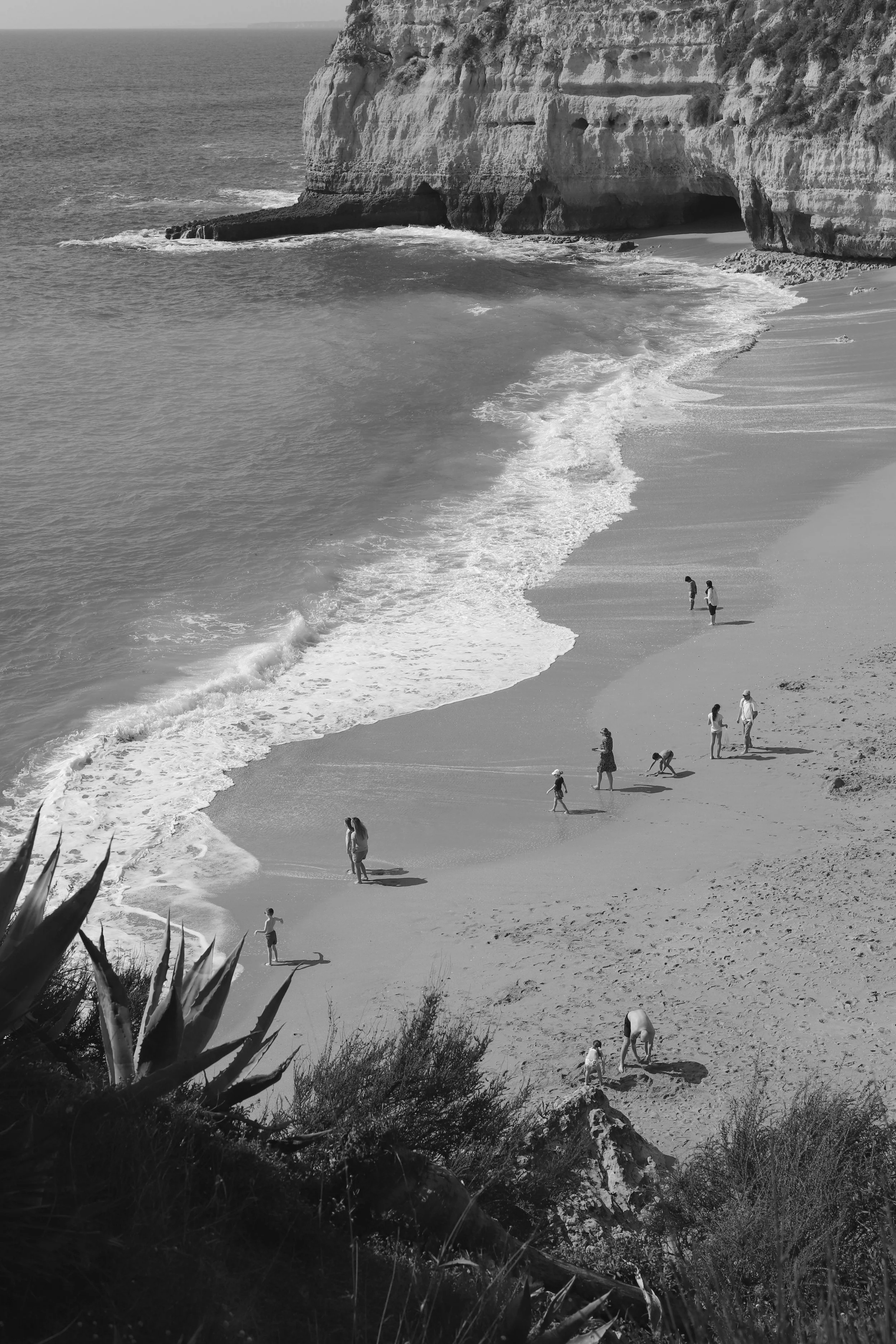 ' Community Is Medicine' Sociogenomics