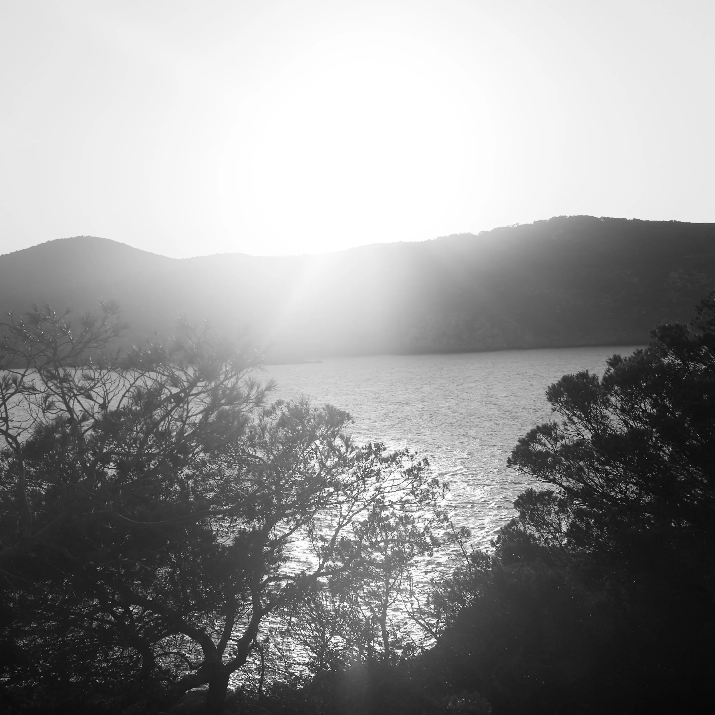 Non-Toxic Sun Protection & Skin-Endocrine Care